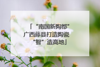 “南国新陶都”广西藤县打造陶瓷“智”造高地
